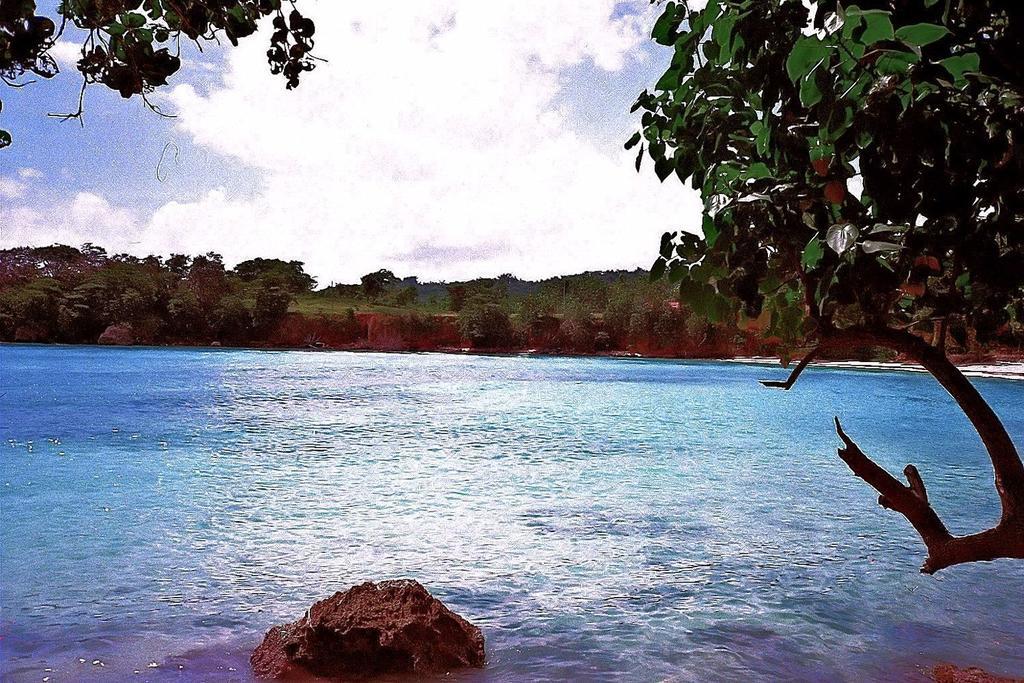Boston Beach Guesthouse Port Antonio Extérieur photo