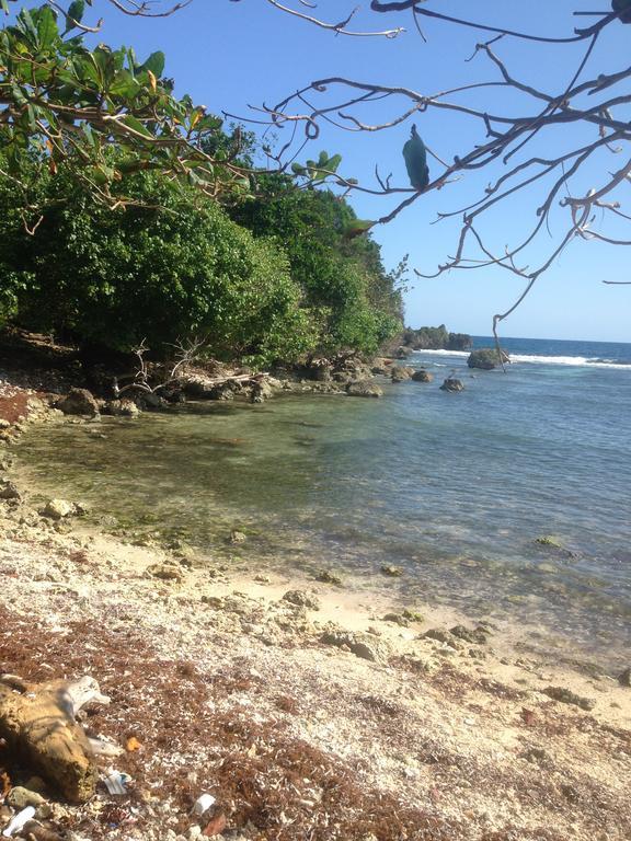 Boston Beach Guesthouse Port Antonio Extérieur photo