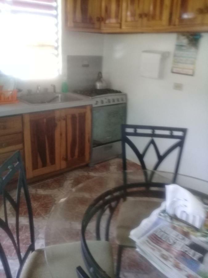 Boston Beach Guesthouse Port Antonio Extérieur photo